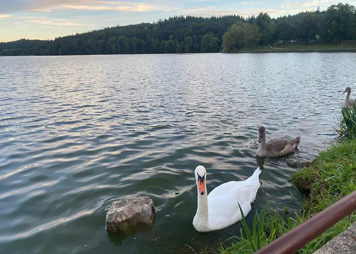 Hébergement de vacances Chaticka U Pernicu *